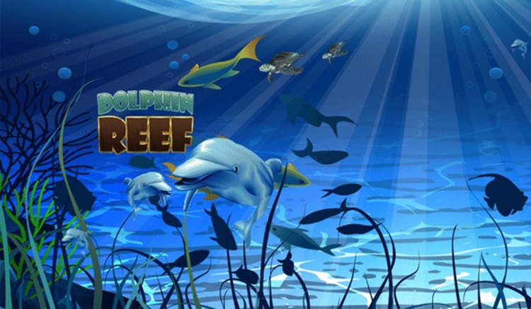 Dolphin Reef Mega888